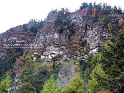 Paro
