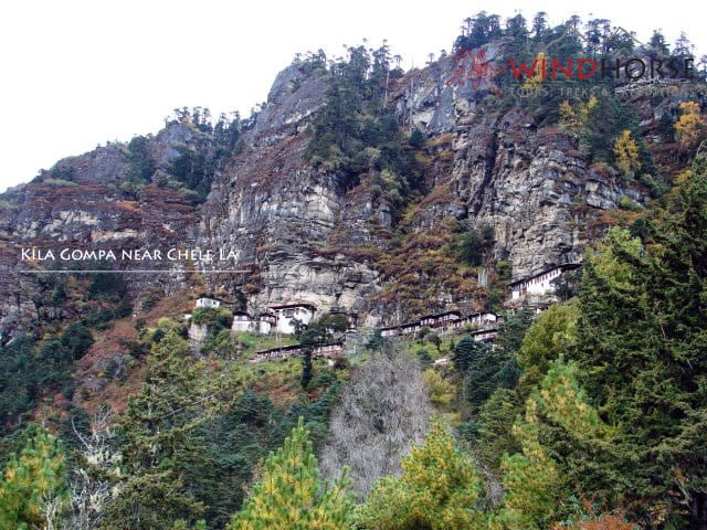 Paro
