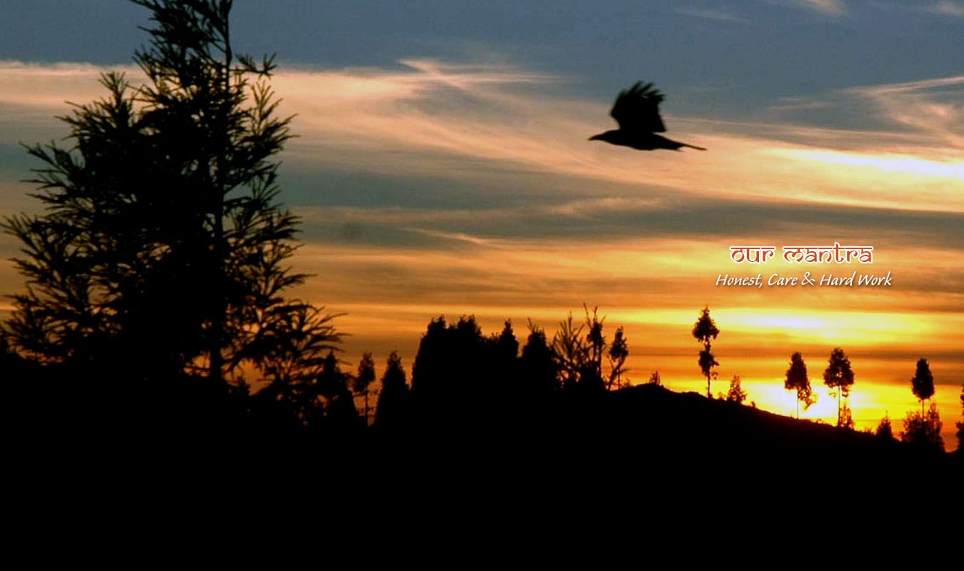 Sandakphu Singalila Trek