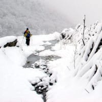 jumolhari trek3 Windhorse Tours