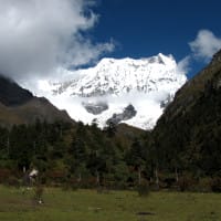limithang Windhorse Tours