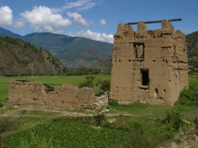 Paro