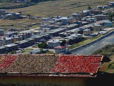 Paro