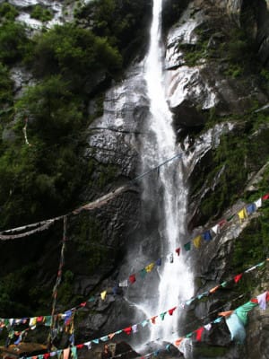 Paro
