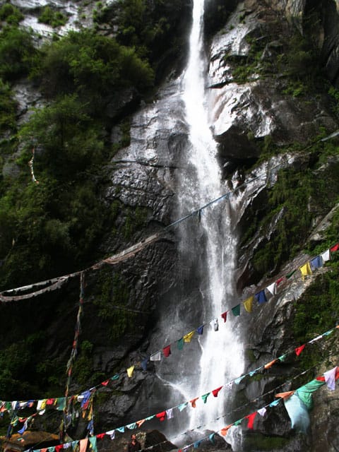 Paro