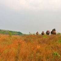 19 Windhorse Tours