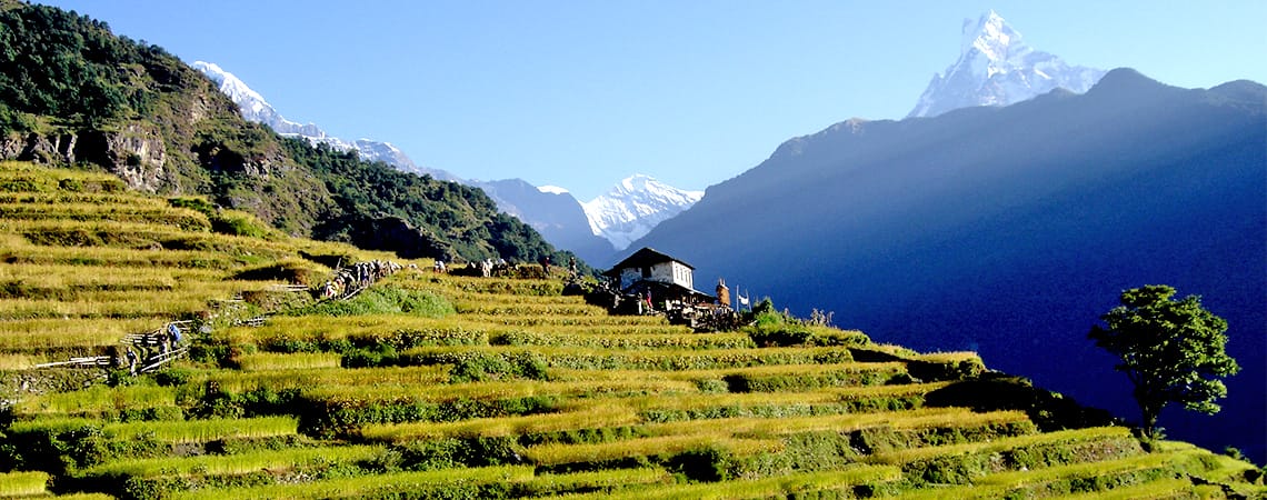 Annapurna Region Trekking