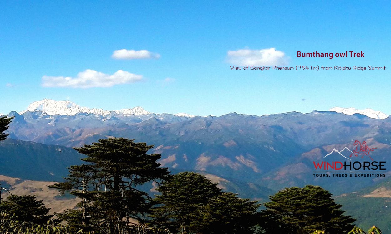 Bumthang Owl Trek