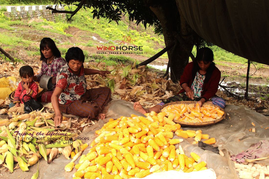 Bhutan’s  Nature, Village with Hikes & Cycling