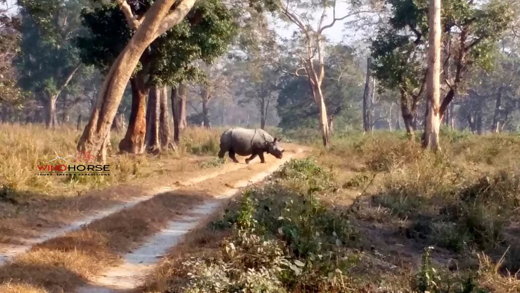 Assam’s Wildlife, Wilderness & National Parks