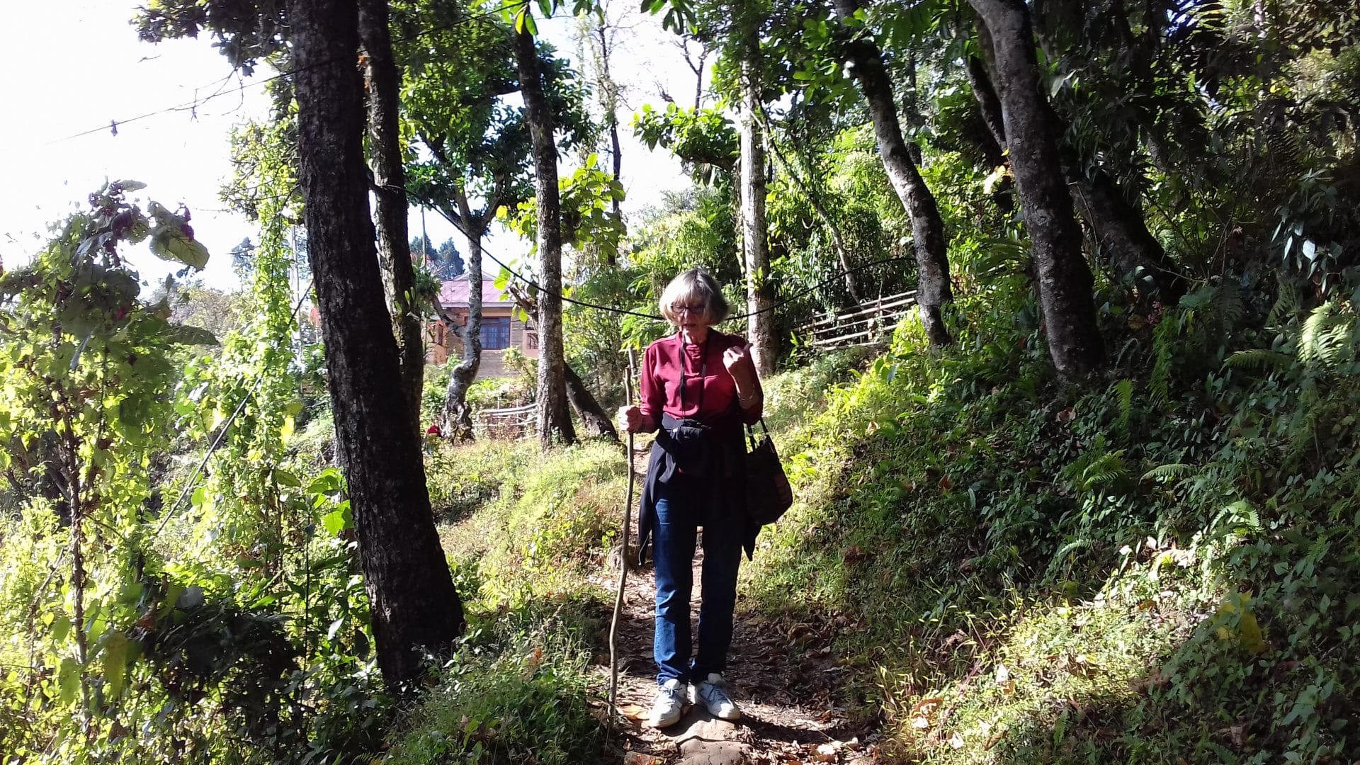 Janet’s Trip to Upper Assam, Megalaya & Sikkim