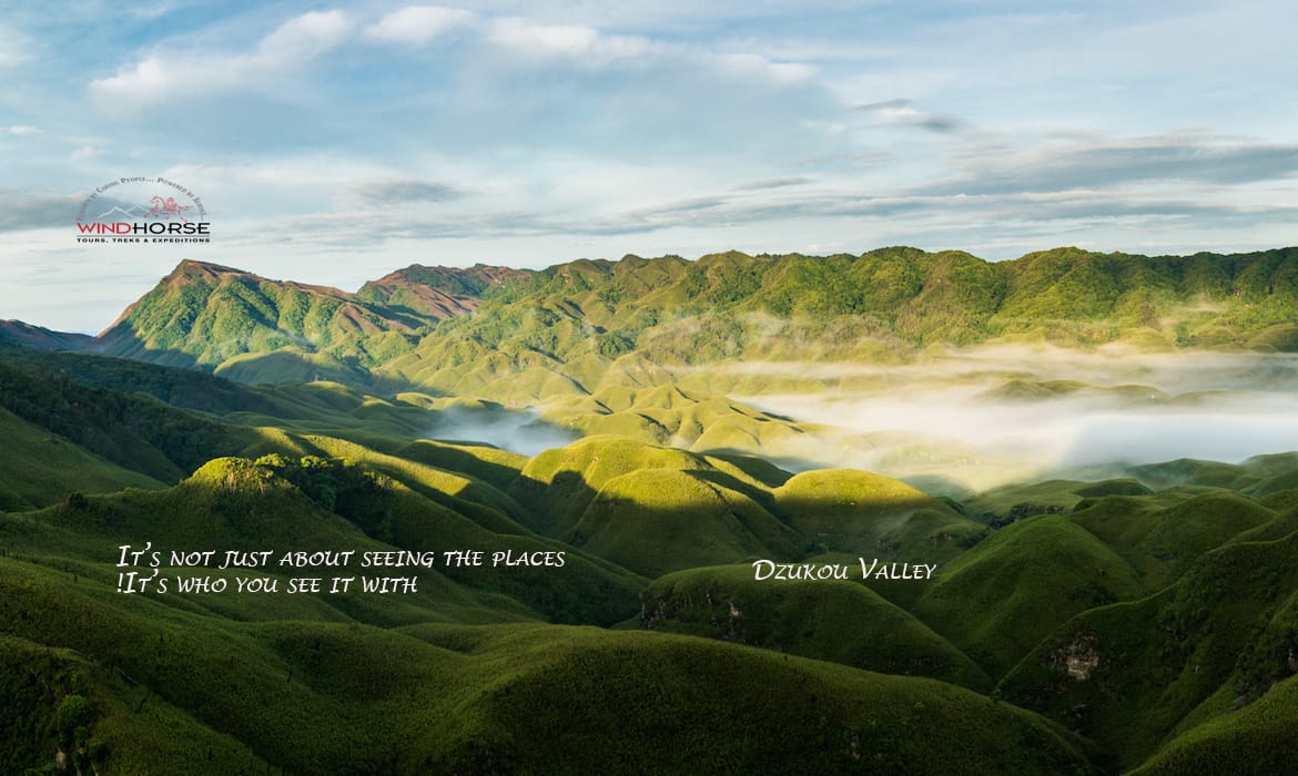 Dzukou Valley and Japfu Peak Trek – Nagaland