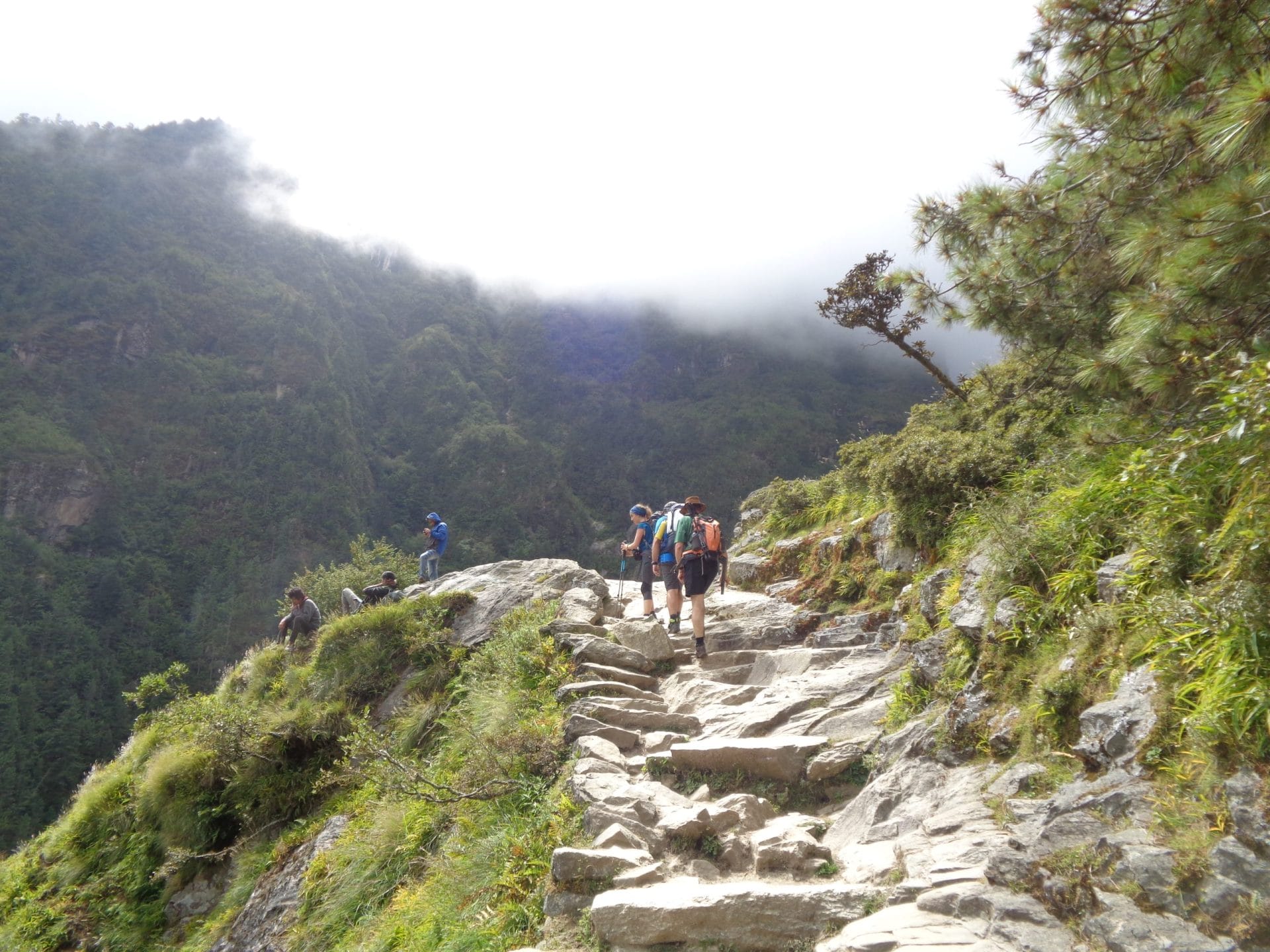 Kanchenjunga Region Trekking