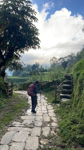 Journey to milkman path