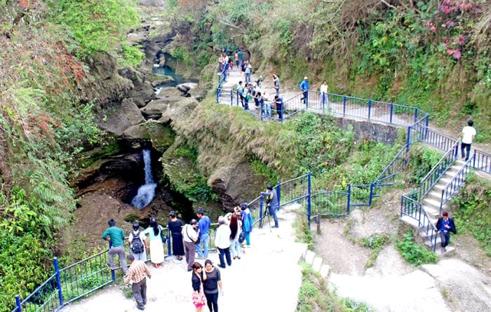 Davis Fall