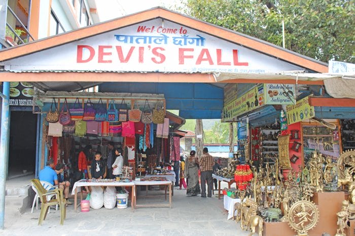Davis Fall