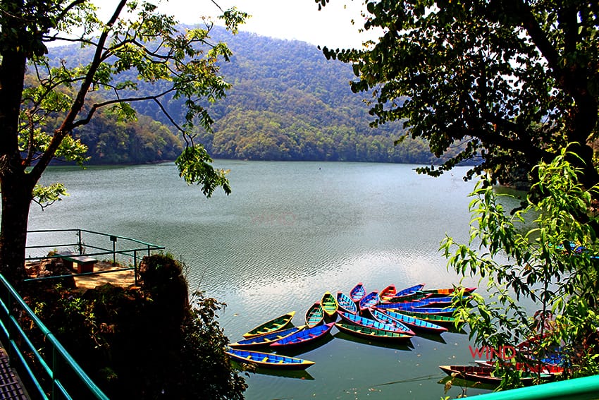 Phewa Lake
