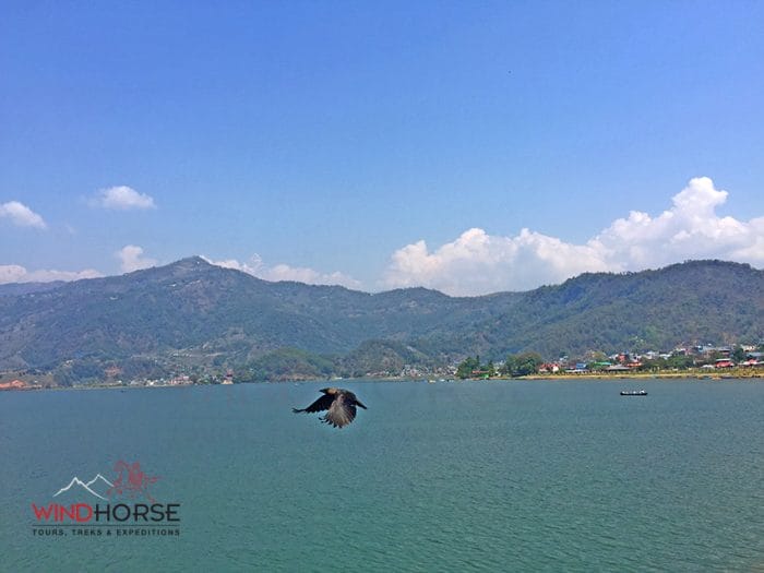 Phewa Lake