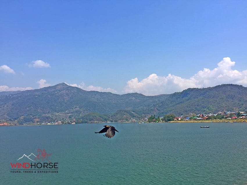 Phewa Lake